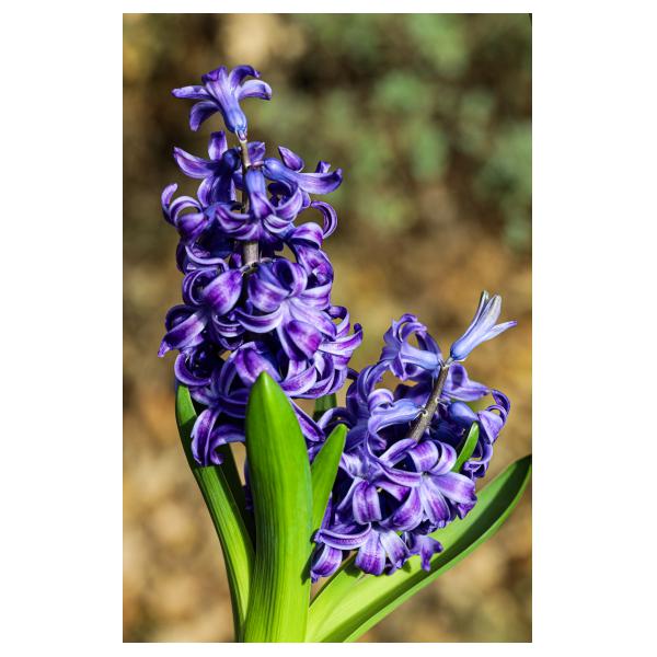 PHOTO84, CLUB, 84 , LUBERON